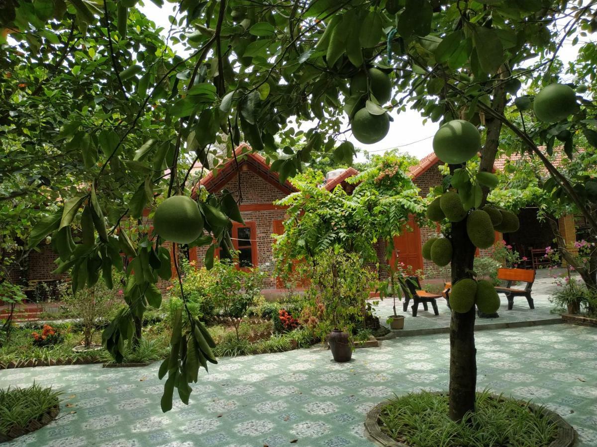 Tam Coc Thanh Dat Homestay ニンビン エクステリア 写真